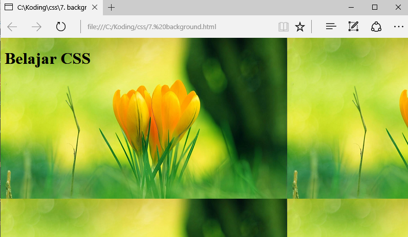 Cara Membuat Background pada CSS (2022) - Ayam Koding
