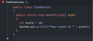 Tipe Data Pada Pemrograman Java - Ayam Koding